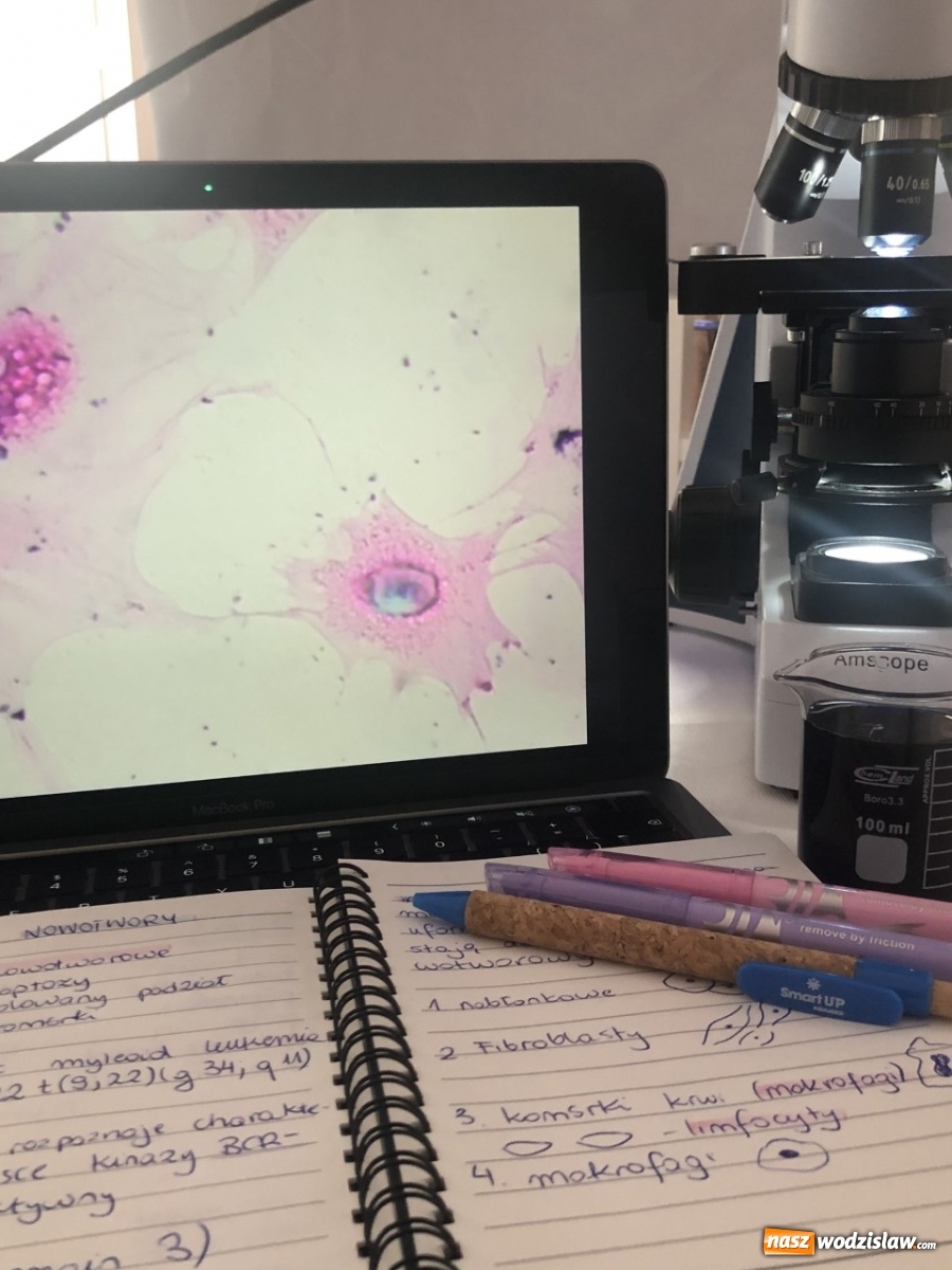 Zdjęcie w galerii na portalu naszwodzislaw.com: Uczniowie ze Śląska wśród najzdolniejszej młodzieży w Polsce wiadomości z regionu