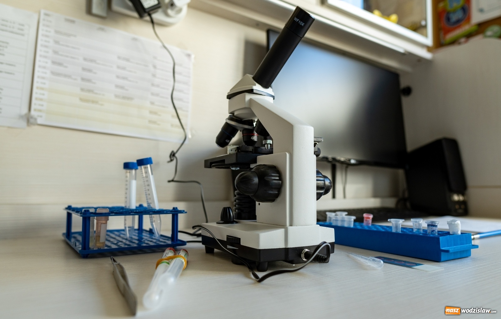 Zdjęcie w galerii na portalu naszwodzislaw.com: Uczniowie ze Śląska wśród najzdolniejszej młodzieży w Polsce wiadomości z regionu