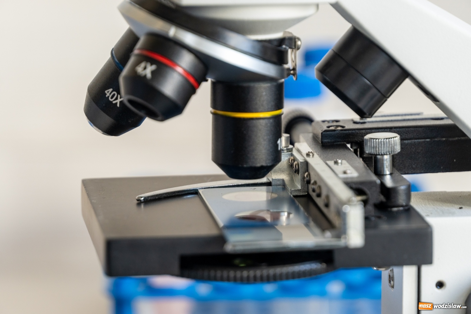 Zdjęcie w galerii na portalu naszwodzislaw.com: Uczniowie ze Śląska wśród najzdolniejszej młodzieży w Polsce wiadomości z regionu