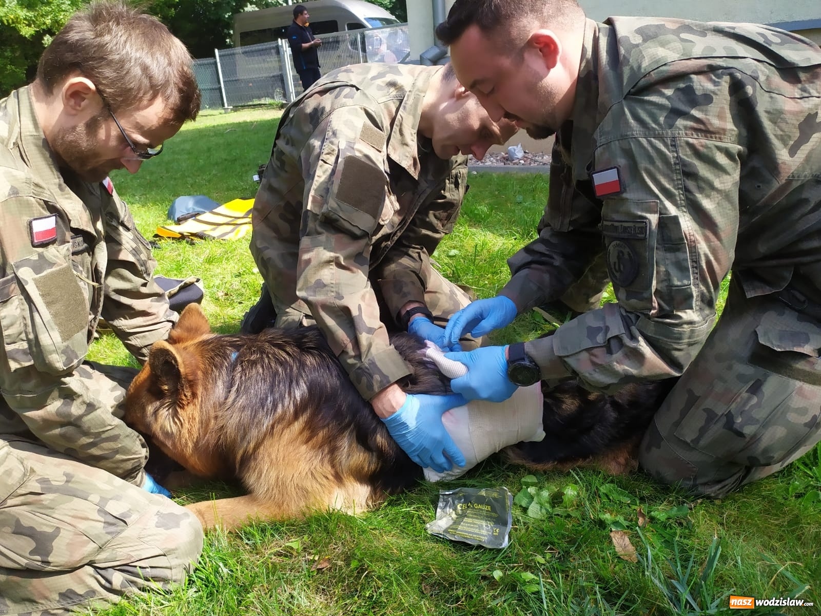 Zdjęcie w galerii na portalu naszwodzislaw.com: Śląscy terytorialsi uczą się jak pomagać psim żołnierzom wiadomości z regionu