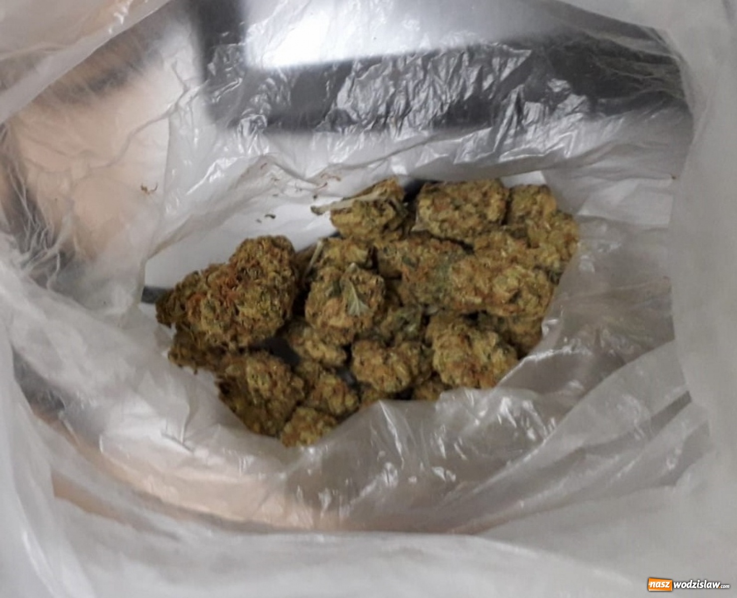 Zdjęcie w galerii na portalu naszwodzislaw.com: Narkotyki za ponad 330 tys. złotych wyeliminowane z rynku wiadomości z regionu