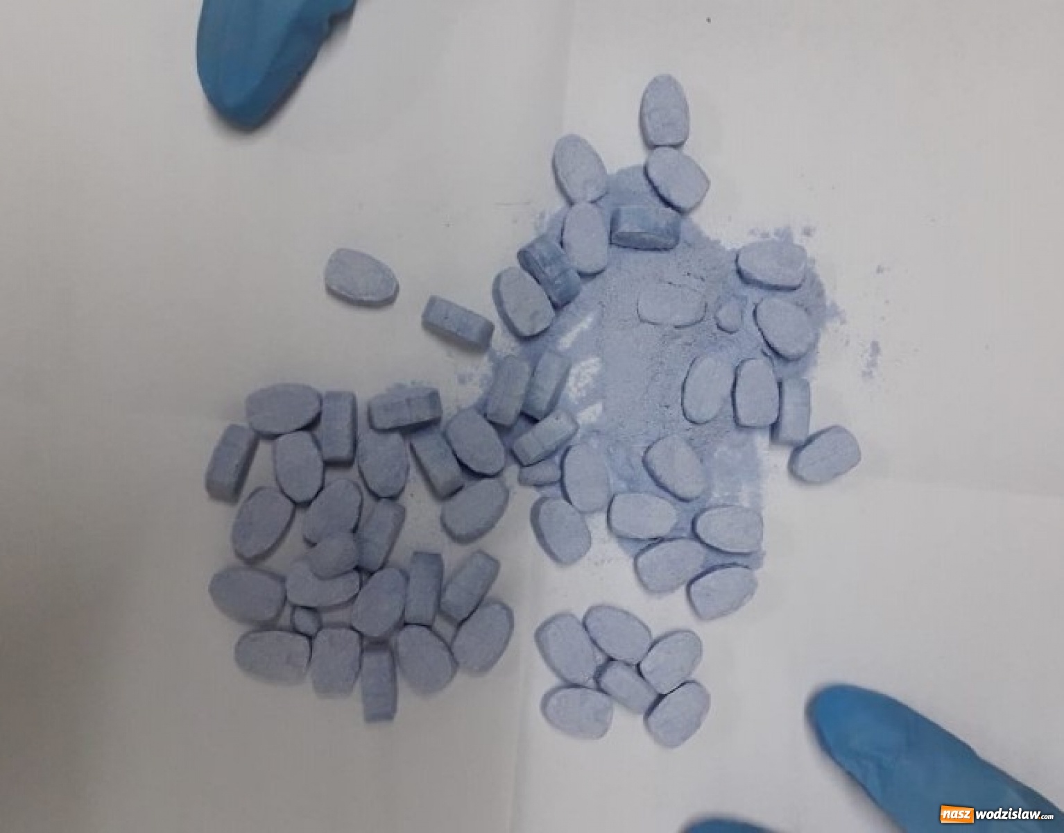 Zdjęcie w galerii na portalu naszwodzislaw.com: Narkotyki za ponad 330 tys. złotych wyeliminowane z rynku wiadomości z regionu