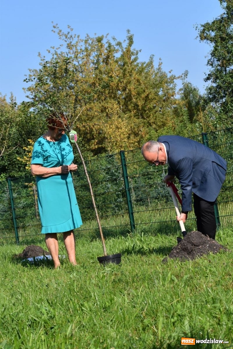 Zdjęcie w galerii na portalu naszwodzislaw.com: W Wodzisławiu Śląskim posadzono 47 nowych drzew [FOTO i WIDEO] wiadomości z regionu