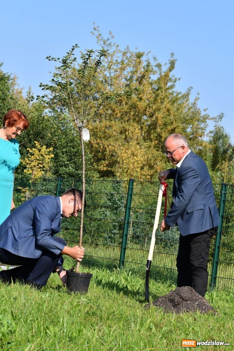 Zdjęcie w galerii na portalu naszwodzislaw.com: W Wodzisławiu Śląskim posadzono 47 nowych drzew [FOTO i WIDEO] wiadomości z regionu