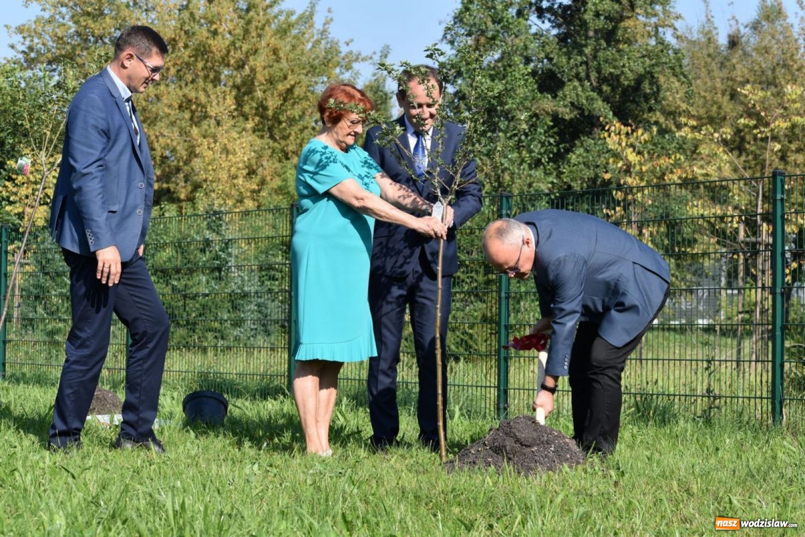 Zdjęcie w galerii na portalu naszwodzislaw.com: W Wodzisławiu Śląskim posadzono 47 nowych drzew [FOTO i WIDEO] wiadomości z regionu