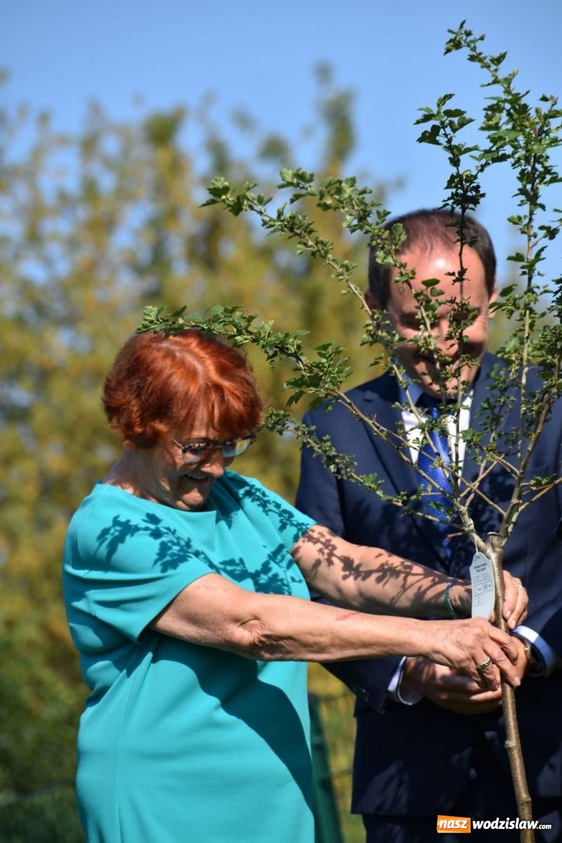 Zdjęcie w galerii na portalu naszwodzislaw.com: W Wodzisławiu Śląskim posadzono 47 nowych drzew [FOTO i WIDEO] wiadomości z regionu