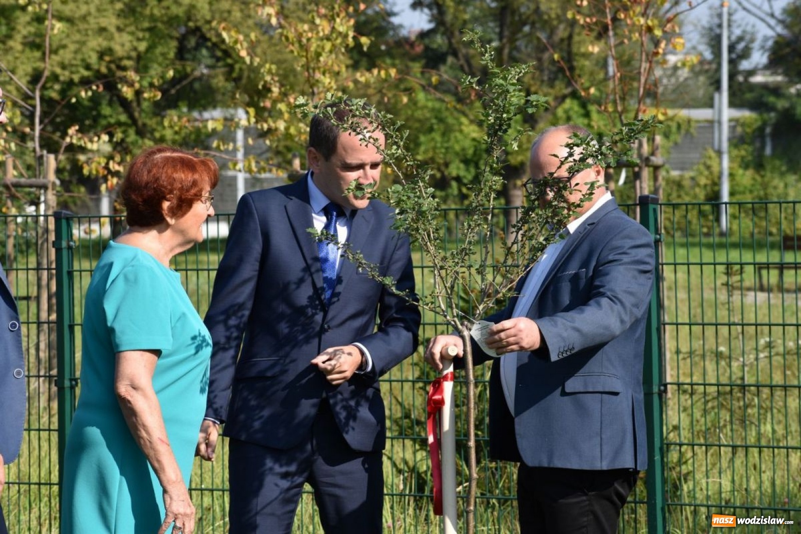 Zdjęcie w galerii na portalu naszwodzislaw.com: W Wodzisławiu Śląskim posadzono 47 nowych drzew [FOTO i WIDEO] wiadomości z regionu