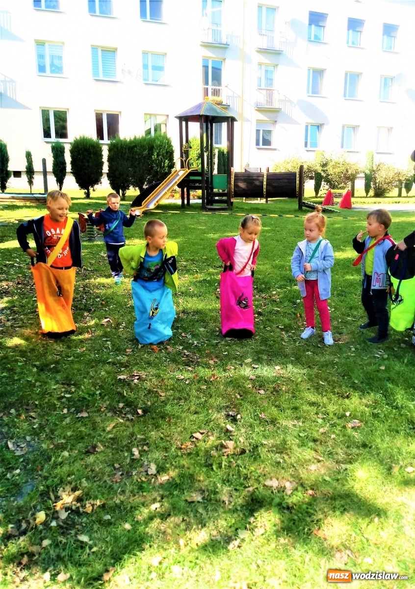 Zdjęcie w galerii na portalu naszwodzislaw.com: Przedszkolaki z Pszowa świętowały Narodowy Dzień Sportu wiadomości z regionu