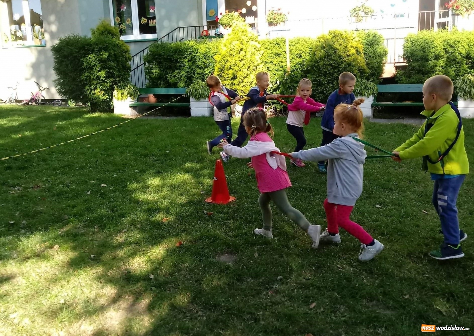 Zdjęcie w galerii na portalu naszwodzislaw.com: Przedszkolaki z Pszowa świętowały Narodowy Dzień Sportu wiadomości z regionu
