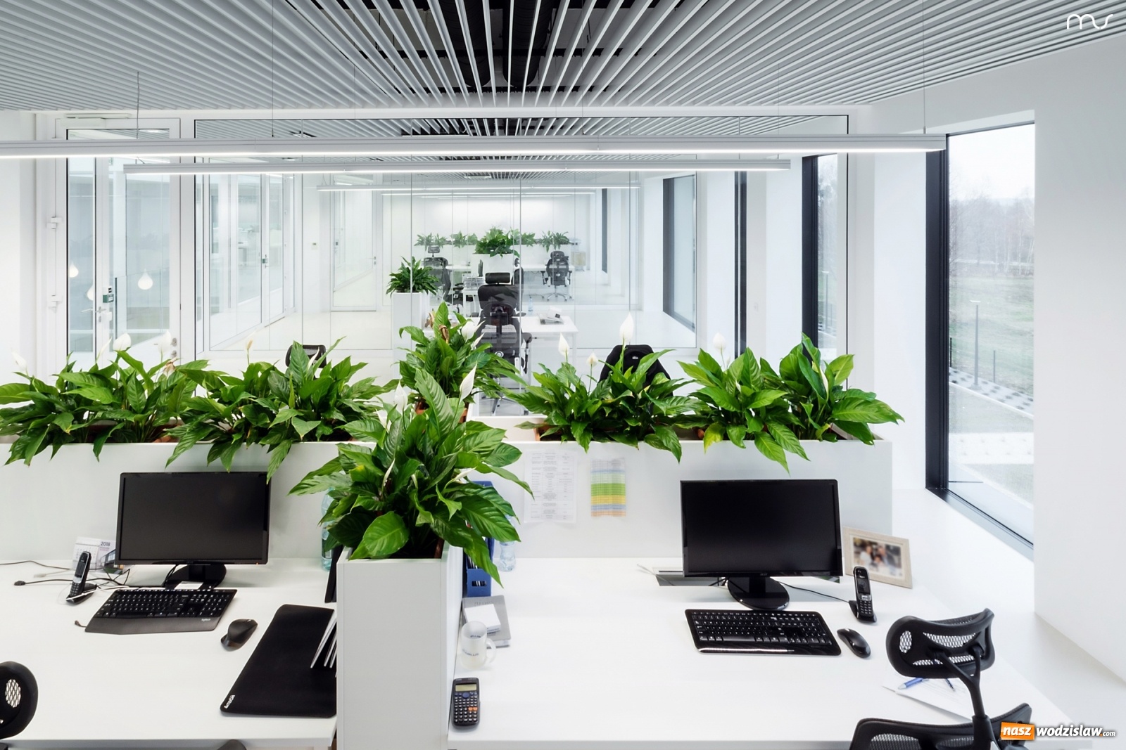 Zdjęcie w galerii na portalu naszwodzislaw.com: Trwa rekrutacja w firmie Pivexin Technology wiadomości z regionu