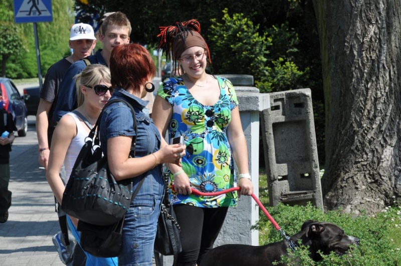 Zdjęcie w galerii na portalu naszwodzislaw.com: Nasi bawili się dzisiaj u sąsiadów wiadomości z regionu