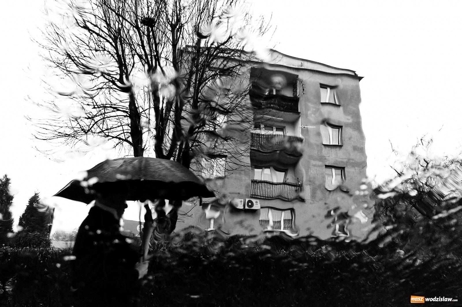 Zdjęcie w galerii na portalu naszwodzislaw.com: W WCK rozstrzygnięto konkurs fotograficzny wiadomości z regionu