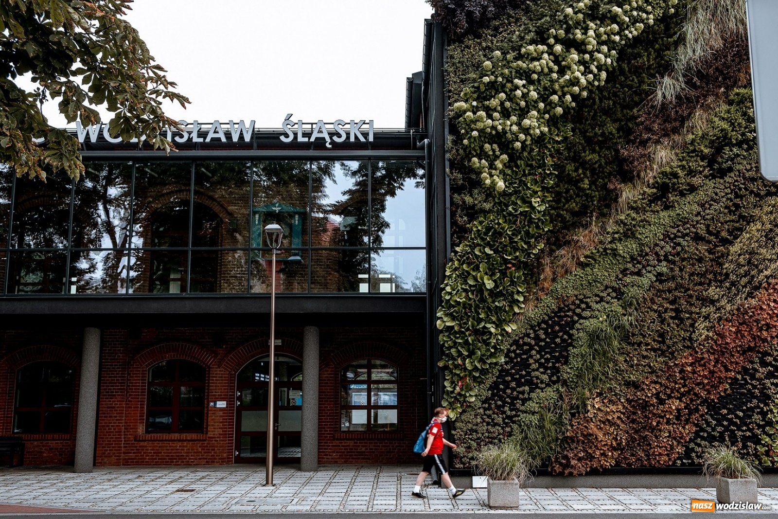 Zdjęcie w galerii na portalu naszwodzislaw.com: W WCK rozstrzygnięto konkurs fotograficzny wiadomości z regionu