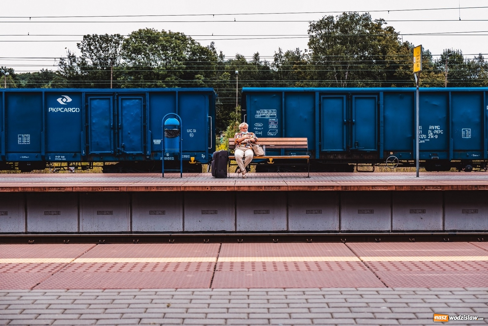 Zdjęcie w galerii na portalu naszwodzislaw.com: W WCK rozstrzygnięto konkurs fotograficzny wiadomości z regionu