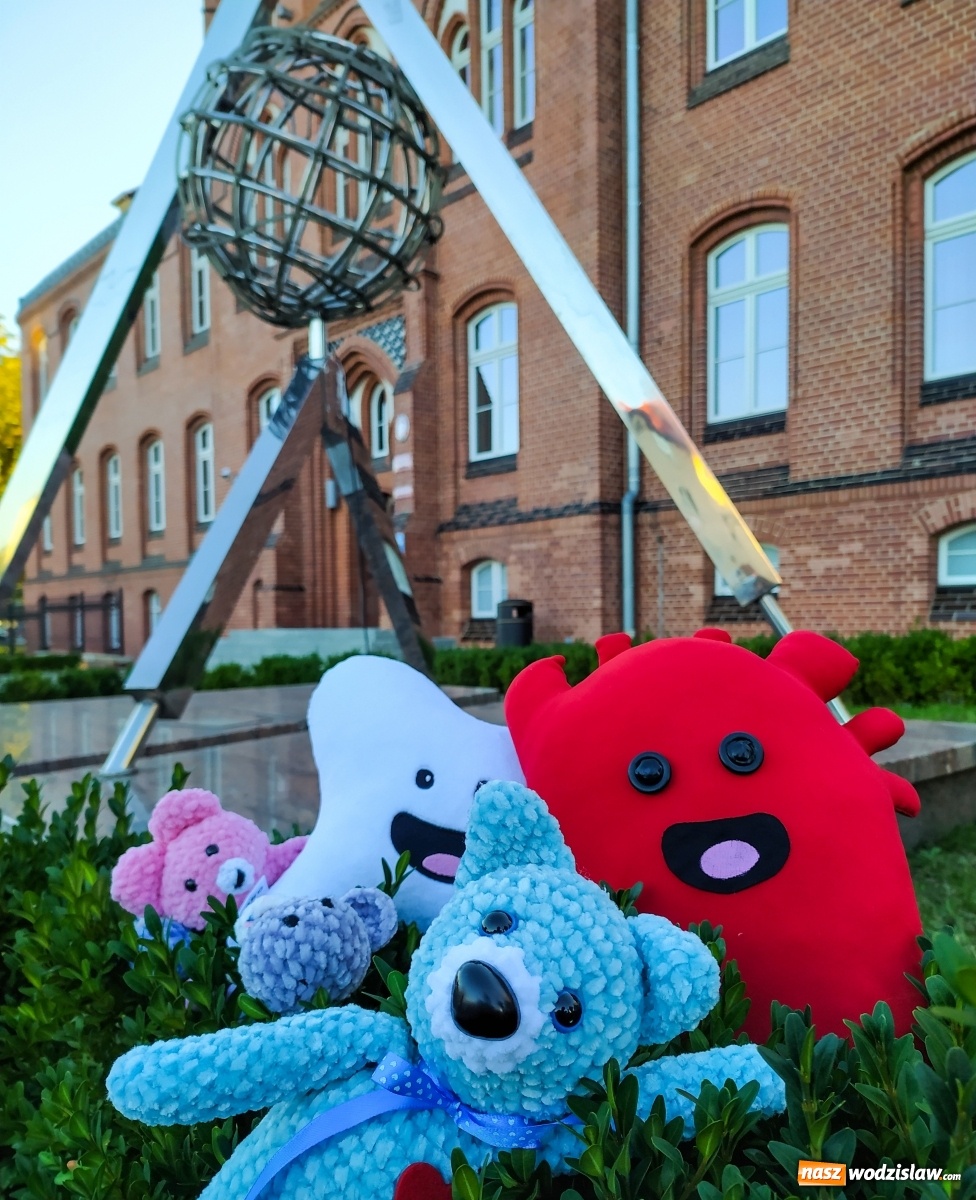 Zdjęcie w galerii na portalu naszwodzislaw.com: Projekt społeczny Ostatni Dar w Wodzisławiu Śląskim wiadomości z regionu