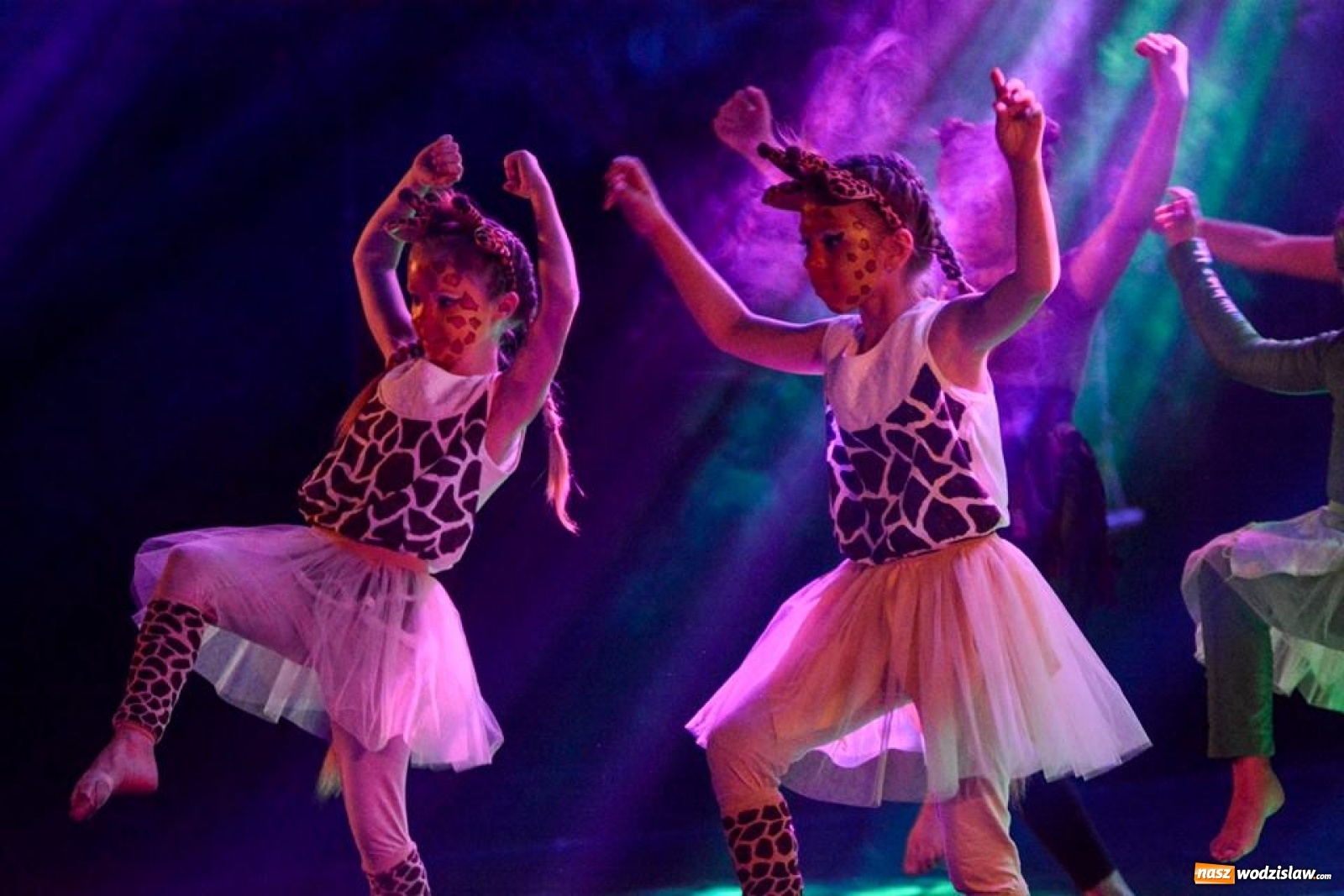 Zdjęcie w galerii na portalu naszwodzislaw.com: Trwają zapisy na zajęcia w WCK wiadomości z regionu