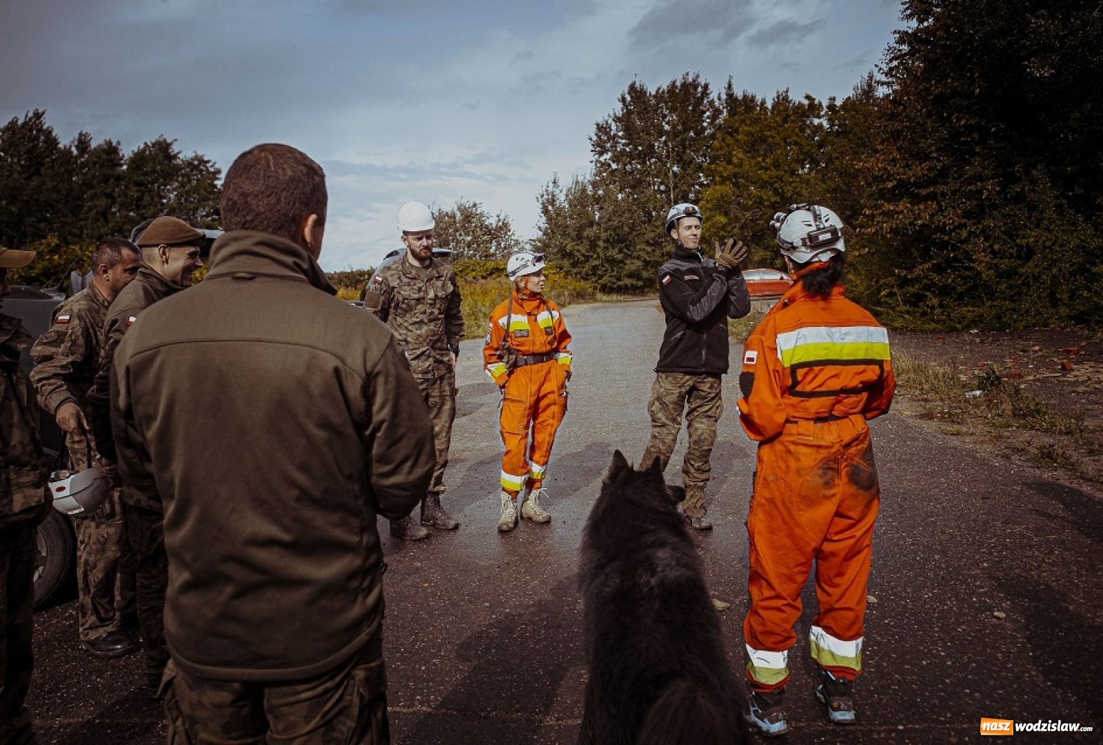 Zdjęcie w galerii na portalu naszwodzislaw.com: Psy ratownicze 13 ŚBOT rozpoczęły szkolenie wiadomości z regionu