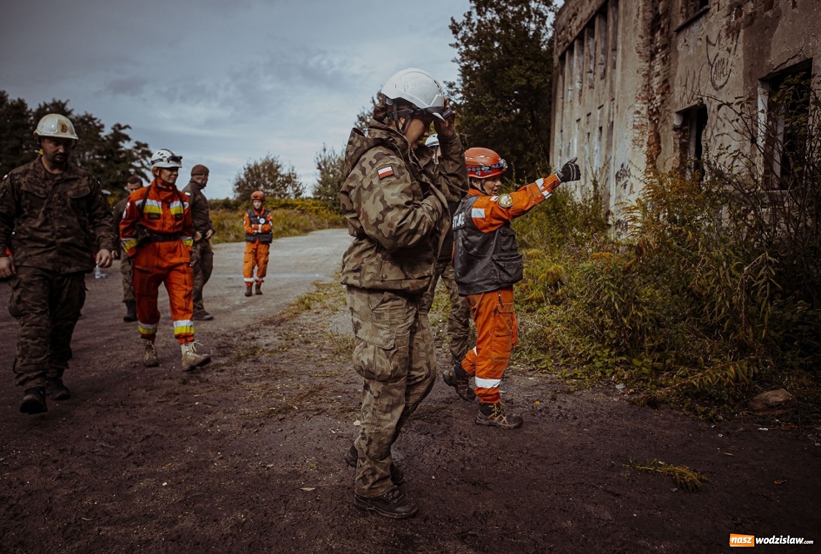 Zdjęcie w galerii na portalu naszwodzislaw.com: Psy ratownicze 13 ŚBOT rozpoczęły szkolenie wiadomości z regionu