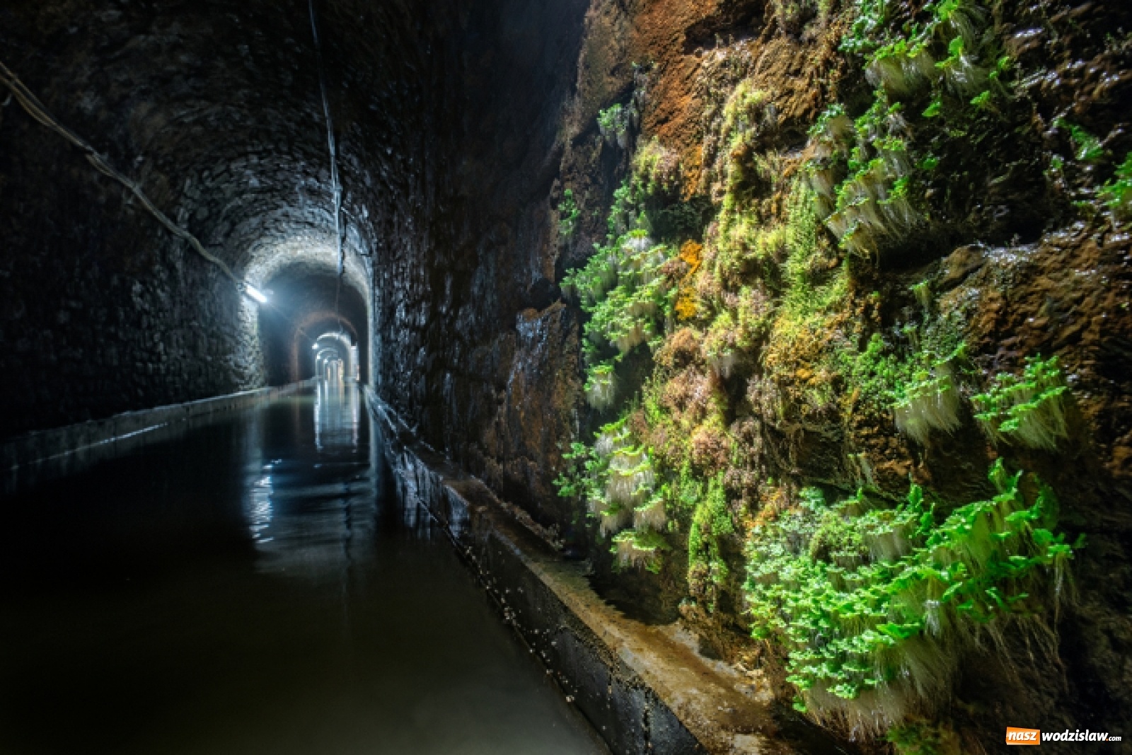 Zdjęcie w galerii na portalu naszwodzislaw.com: Stadion Śląski i Sztolnia Królowa Luiza mają wspólny bilet wiadomości z regionu