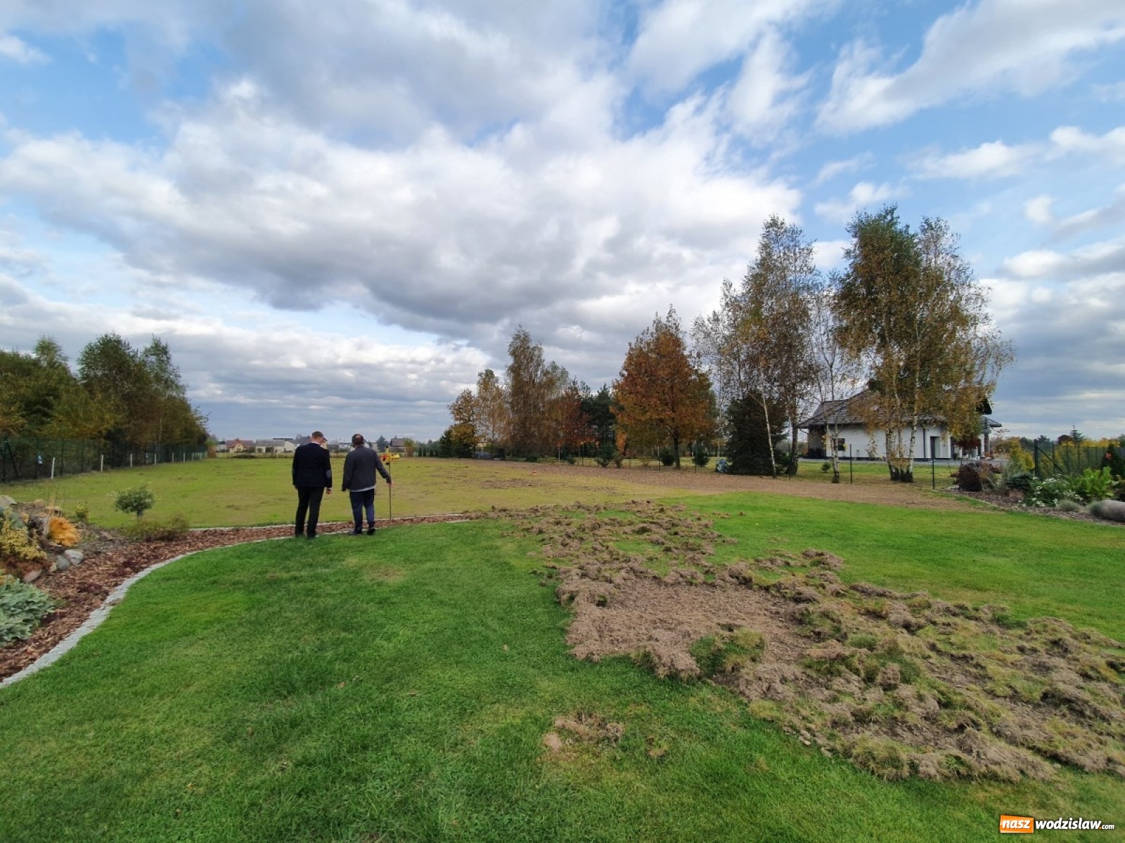 Zdjęcie w galerii na portalu naszwodzislaw.com: Dziki spędzają sen z powiek wodzisławian wiadomości z regionu