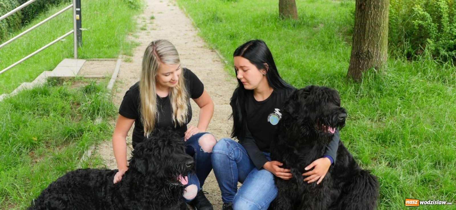 Zdjęcie w galerii na portalu naszwodzislaw.com: Świat Psa widziany oczami behawiorystek wiadomości z regionu