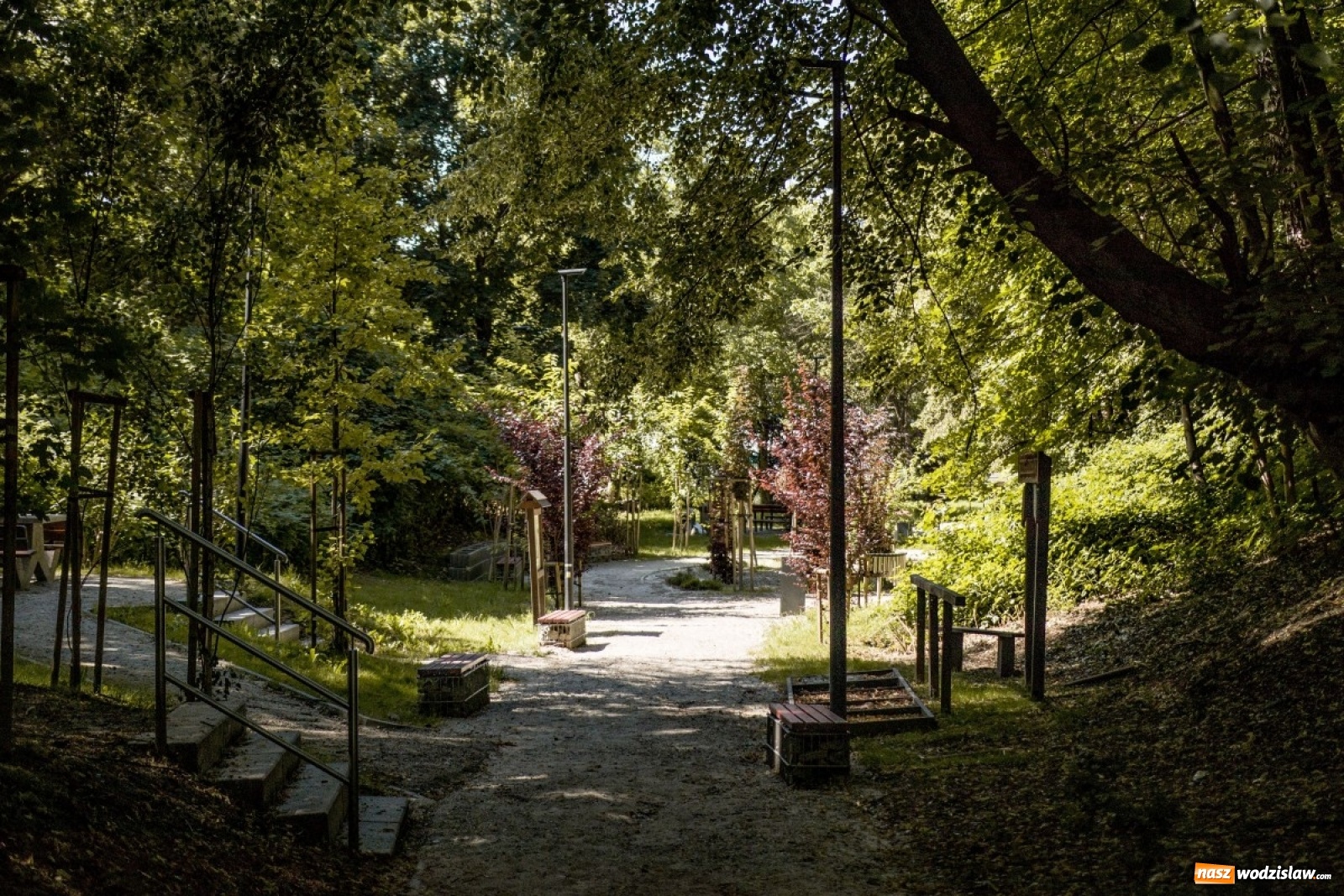 Zdjęcie w galerii na portalu naszwodzislaw.com: Wodzisław Śląski miastem z klimatem wiadomości z regionu