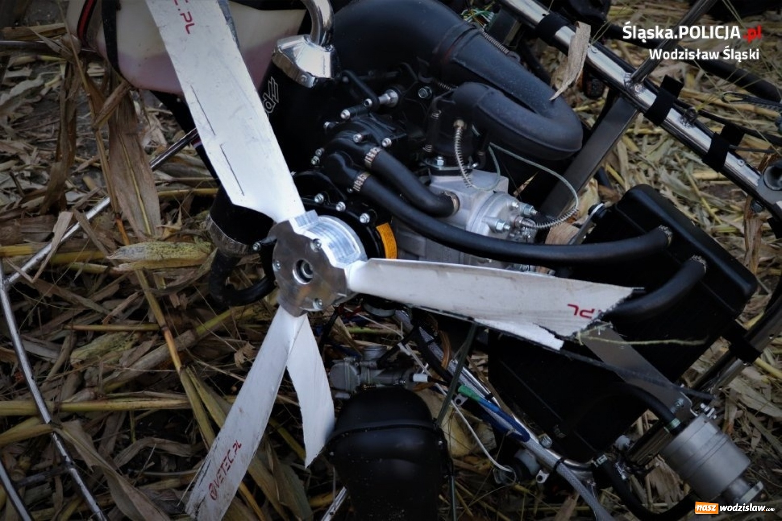 Zdjęcie w galerii na portalu naszwodzislaw.com: Pijany paralotniarz zahaczył o linię energetyczną i runął na ziemię  wiadomości z regionu