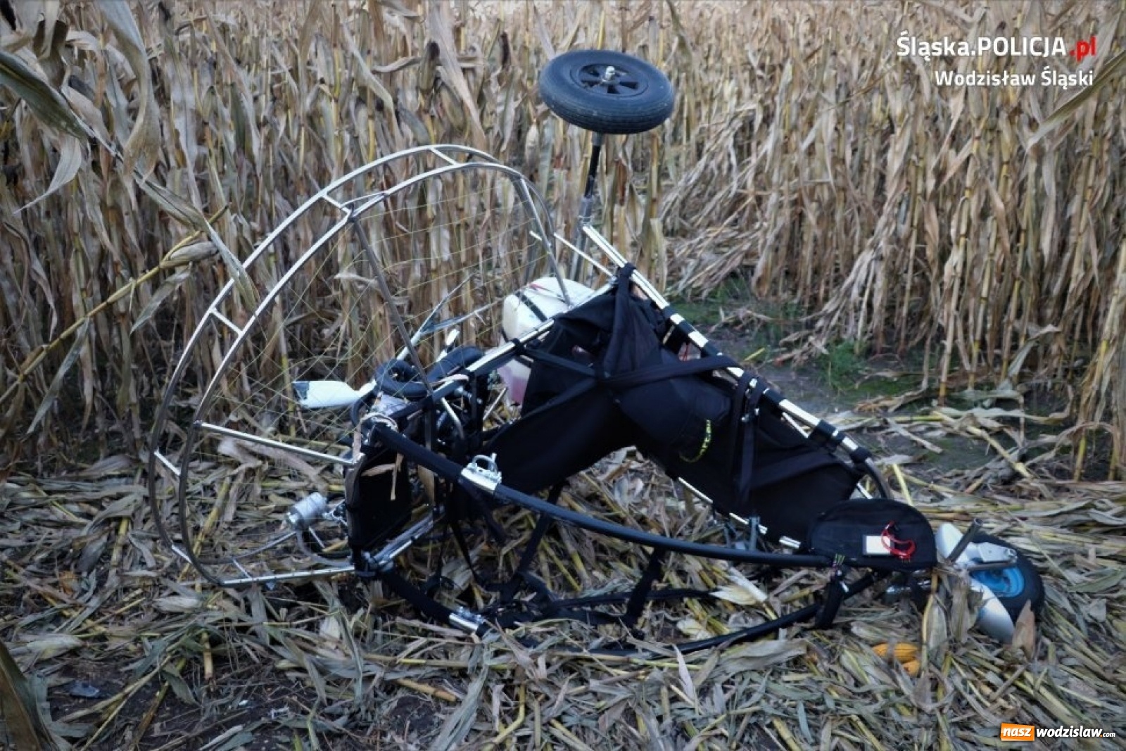 Zdjęcie w galerii na portalu naszwodzislaw.com: Pijany paralotniarz zahaczył o linię energetyczną i runął na ziemię  wiadomości z regionu