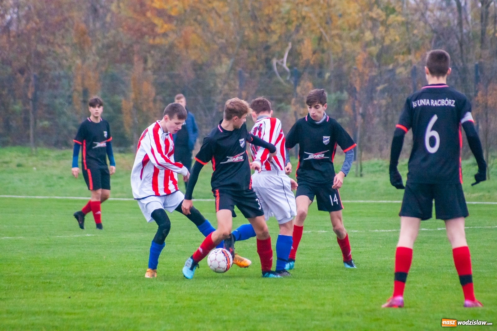 Zdjęcie w galerii na portalu naszwodzislaw.com: Juniorzy starsi. Nieudana pogoń Gołkowic [FOTO i WIDEO] wiadomości z regionu