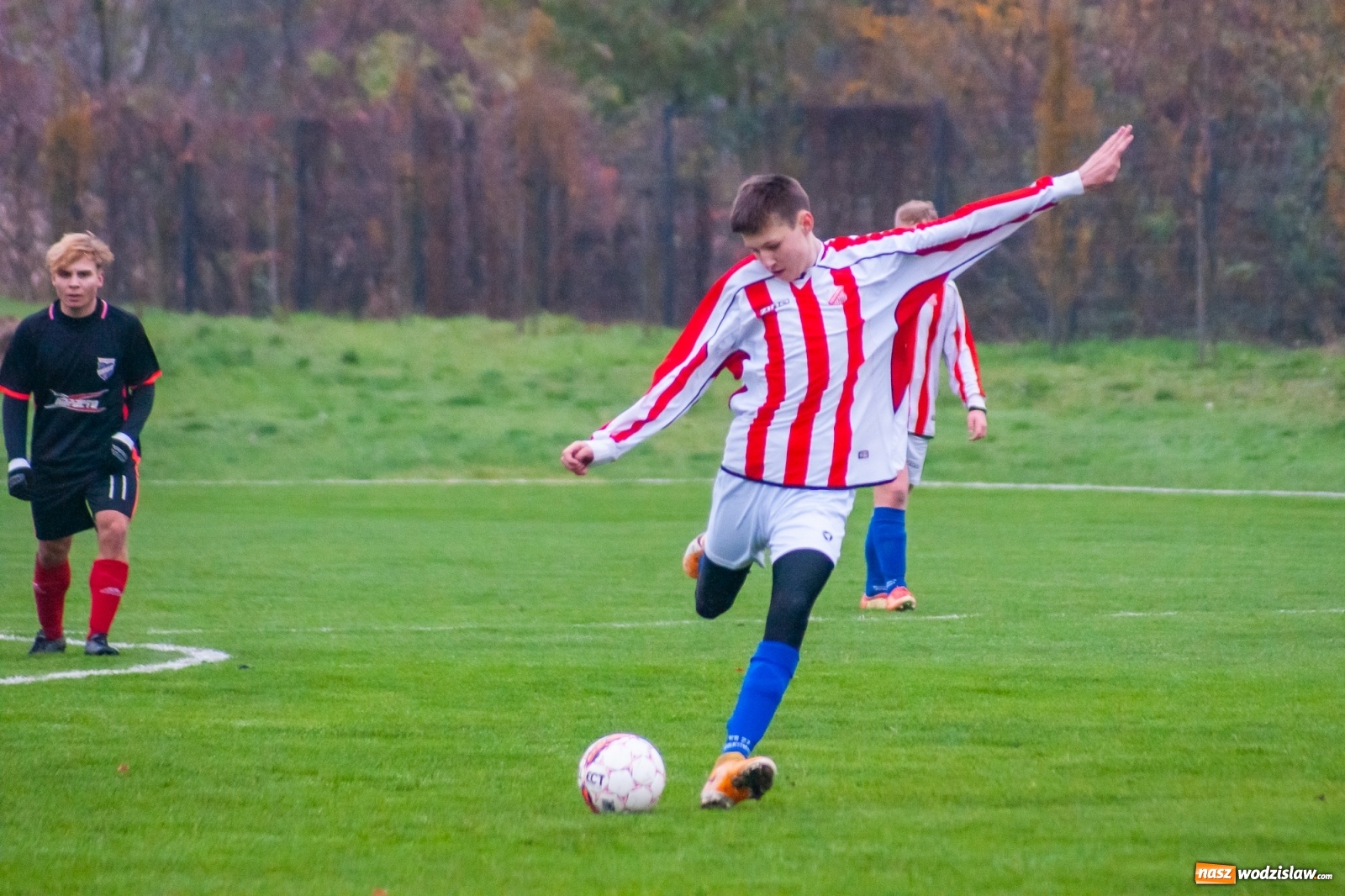 Zdjęcie w galerii na portalu naszwodzislaw.com: Juniorzy starsi. Nieudana pogoń Gołkowic [FOTO i WIDEO] wiadomości z regionu