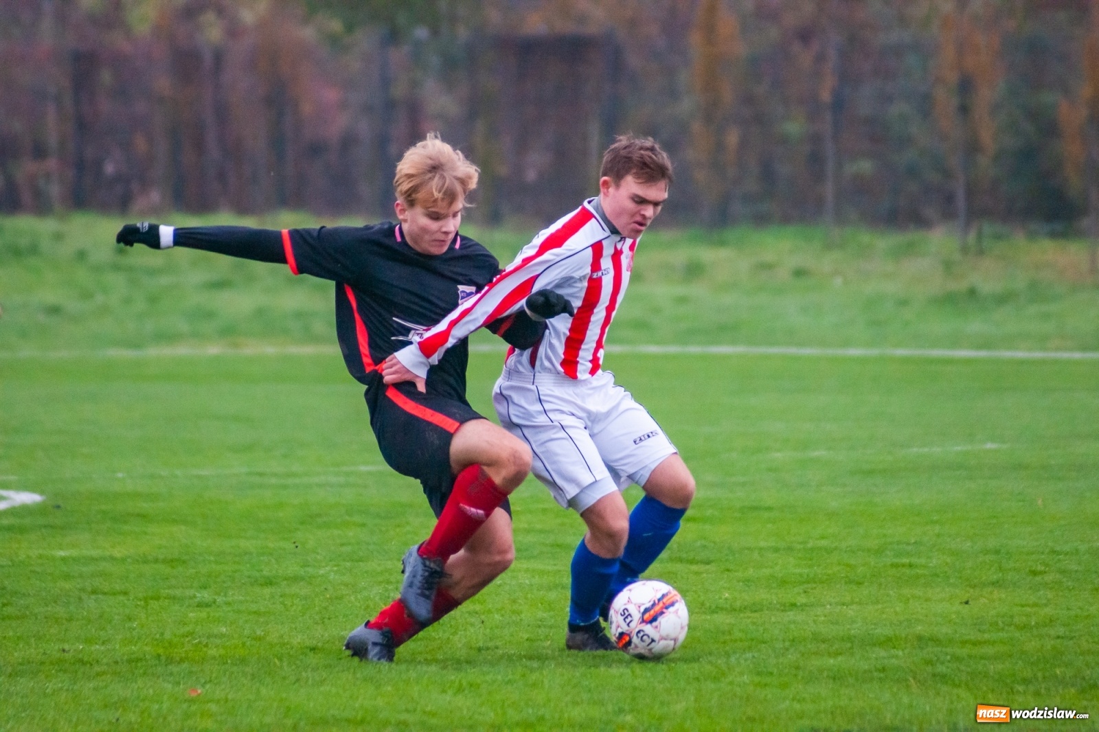 Zdjęcie w galerii na portalu naszwodzislaw.com: Juniorzy starsi. Nieudana pogoń Gołkowic [FOTO i WIDEO] wiadomości z regionu