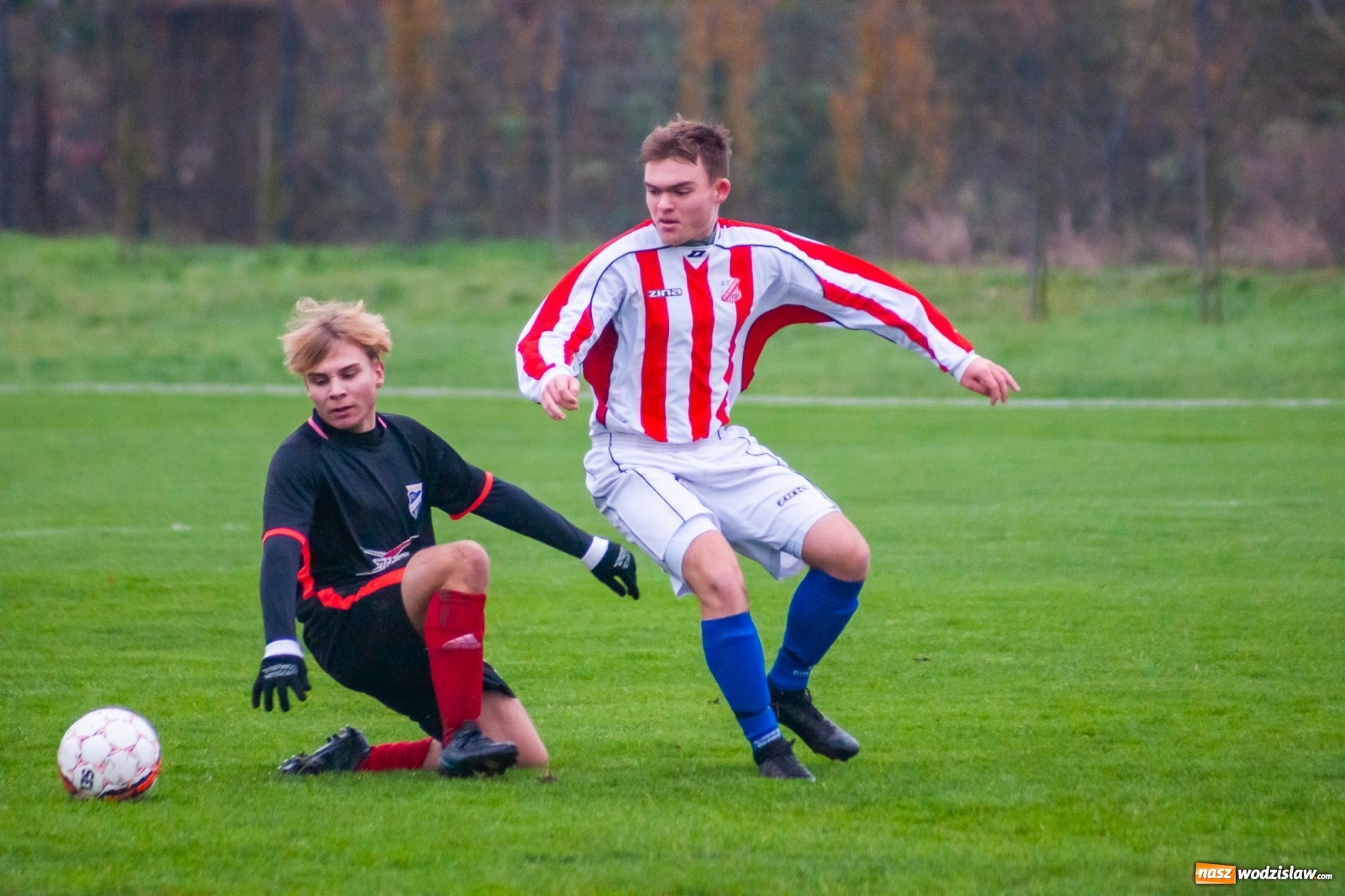 Zdjęcie w galerii na portalu naszwodzislaw.com: Juniorzy starsi. Nieudana pogoń Gołkowic [FOTO i WIDEO] wiadomości z regionu