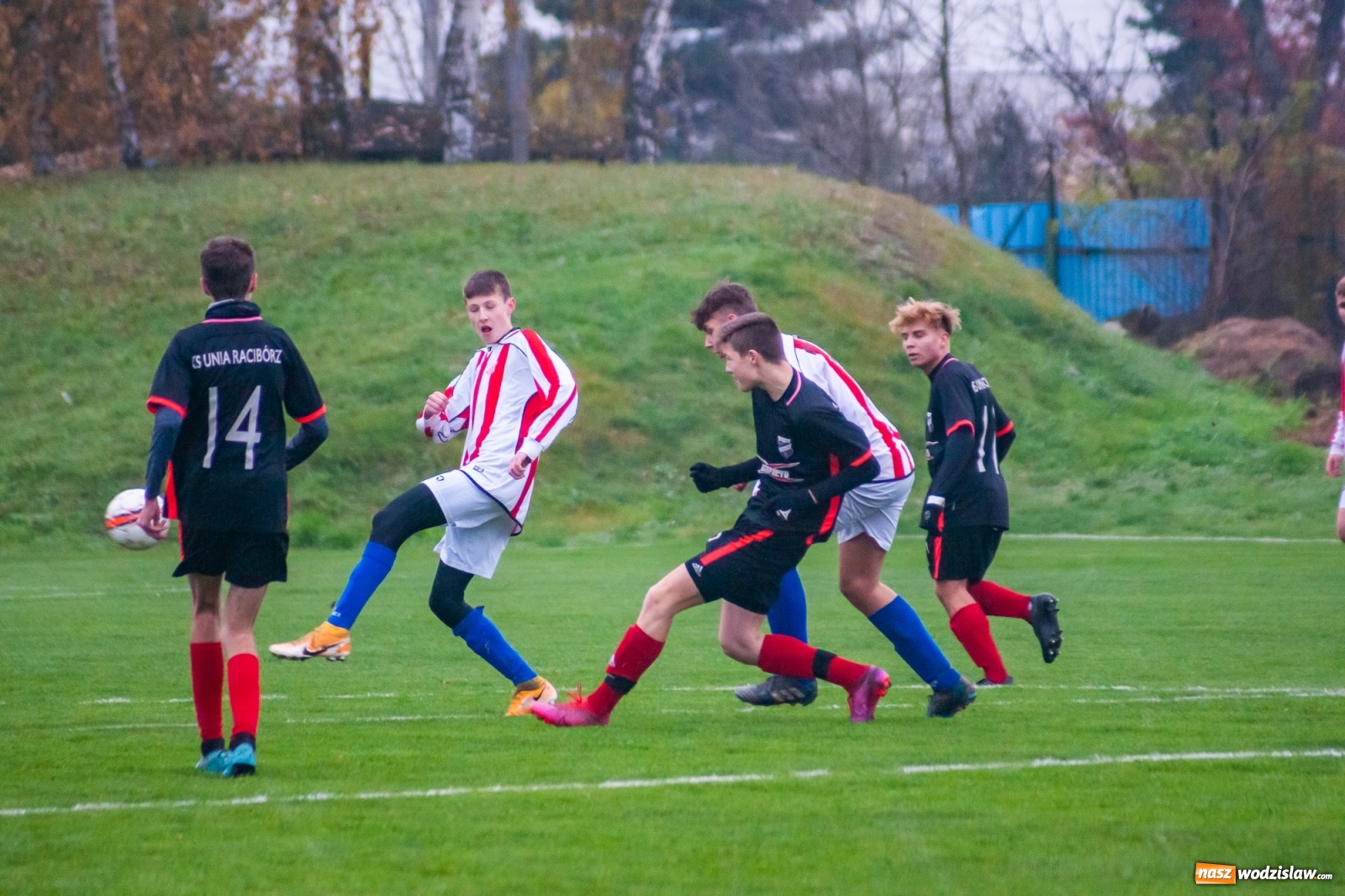 Zdjęcie w galerii na portalu naszwodzislaw.com: Juniorzy starsi. Nieudana pogoń Gołkowic [FOTO i WIDEO] wiadomości z regionu