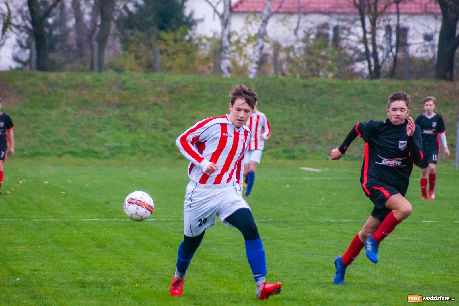 Zdjęcie w galerii na portalu naszwodzislaw.com: Juniorzy starsi. Nieudana pogoń Gołkowic [FOTO i WIDEO] wiadomości z regionu