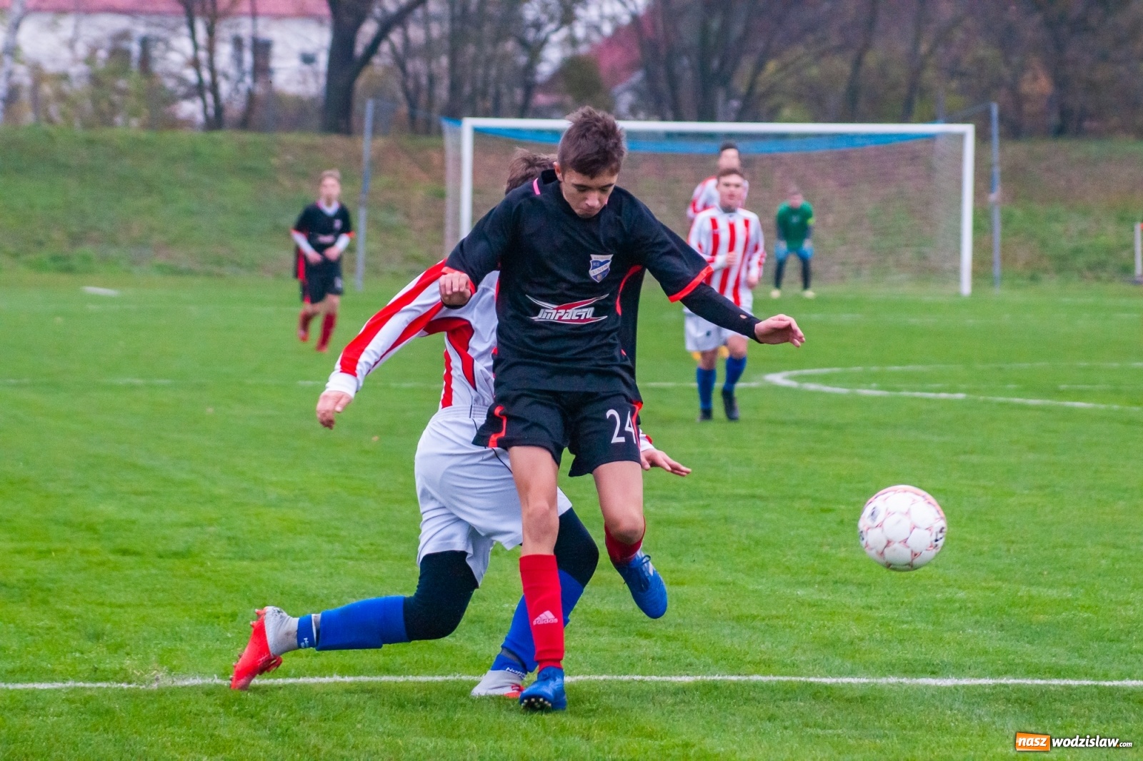 Zdjęcie w galerii na portalu naszwodzislaw.com: Juniorzy starsi. Nieudana pogoń Gołkowic [FOTO i WIDEO] wiadomości z regionu