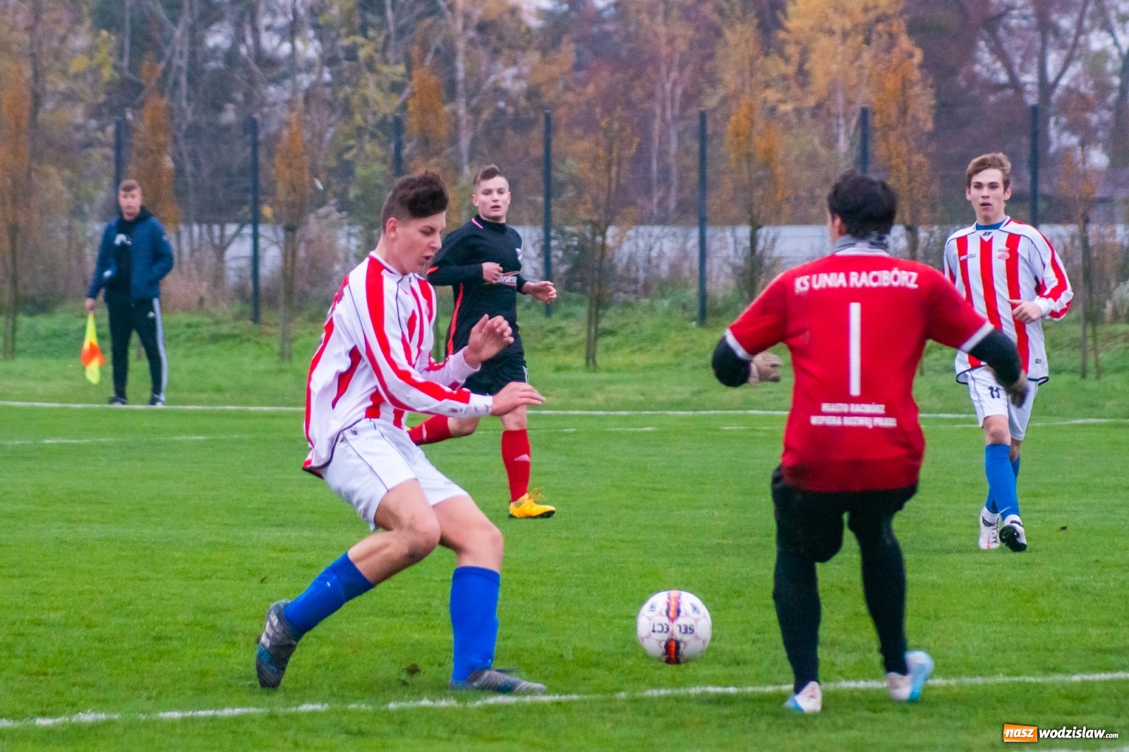 Zdjęcie w galerii na portalu naszwodzislaw.com: Juniorzy starsi. Nieudana pogoń Gołkowic [FOTO i WIDEO] wiadomości z regionu