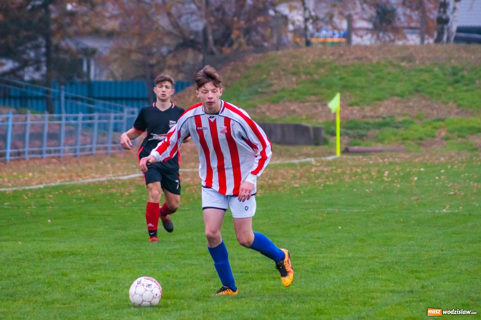 Zdjęcie w galerii na portalu naszwodzislaw.com: Juniorzy starsi. Nieudana pogoń Gołkowic [FOTO i WIDEO] wiadomości z regionu