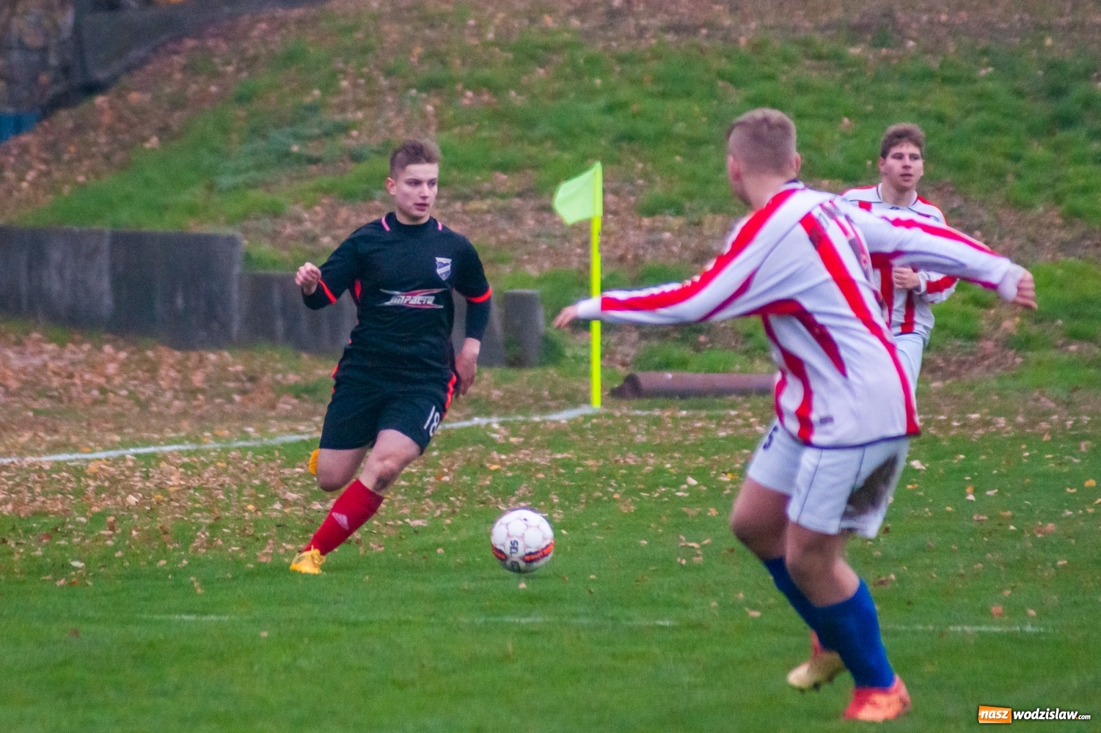 Zdjęcie w galerii na portalu naszwodzislaw.com: Juniorzy starsi. Nieudana pogoń Gołkowic [FOTO i WIDEO] wiadomości z regionu