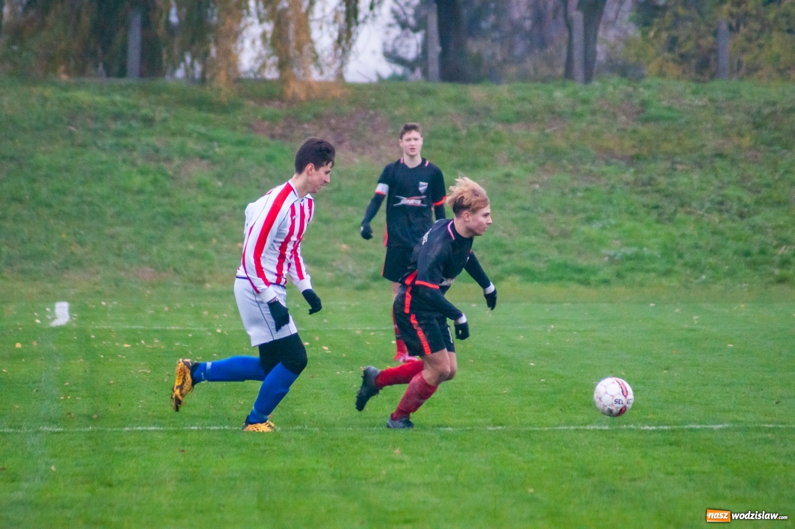 Zdjęcie w galerii na portalu naszwodzislaw.com: Juniorzy starsi. Nieudana pogoń Gołkowic [FOTO i WIDEO] wiadomości z regionu
