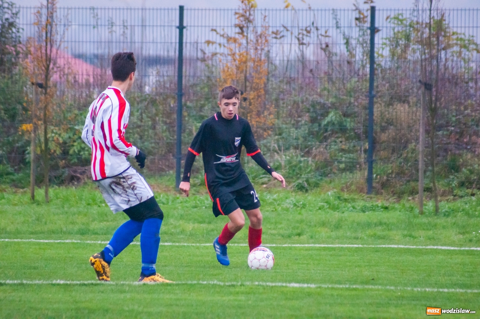 Zdjęcie w galerii na portalu naszwodzislaw.com: Juniorzy starsi. Nieudana pogoń Gołkowic [FOTO i WIDEO] wiadomości z regionu