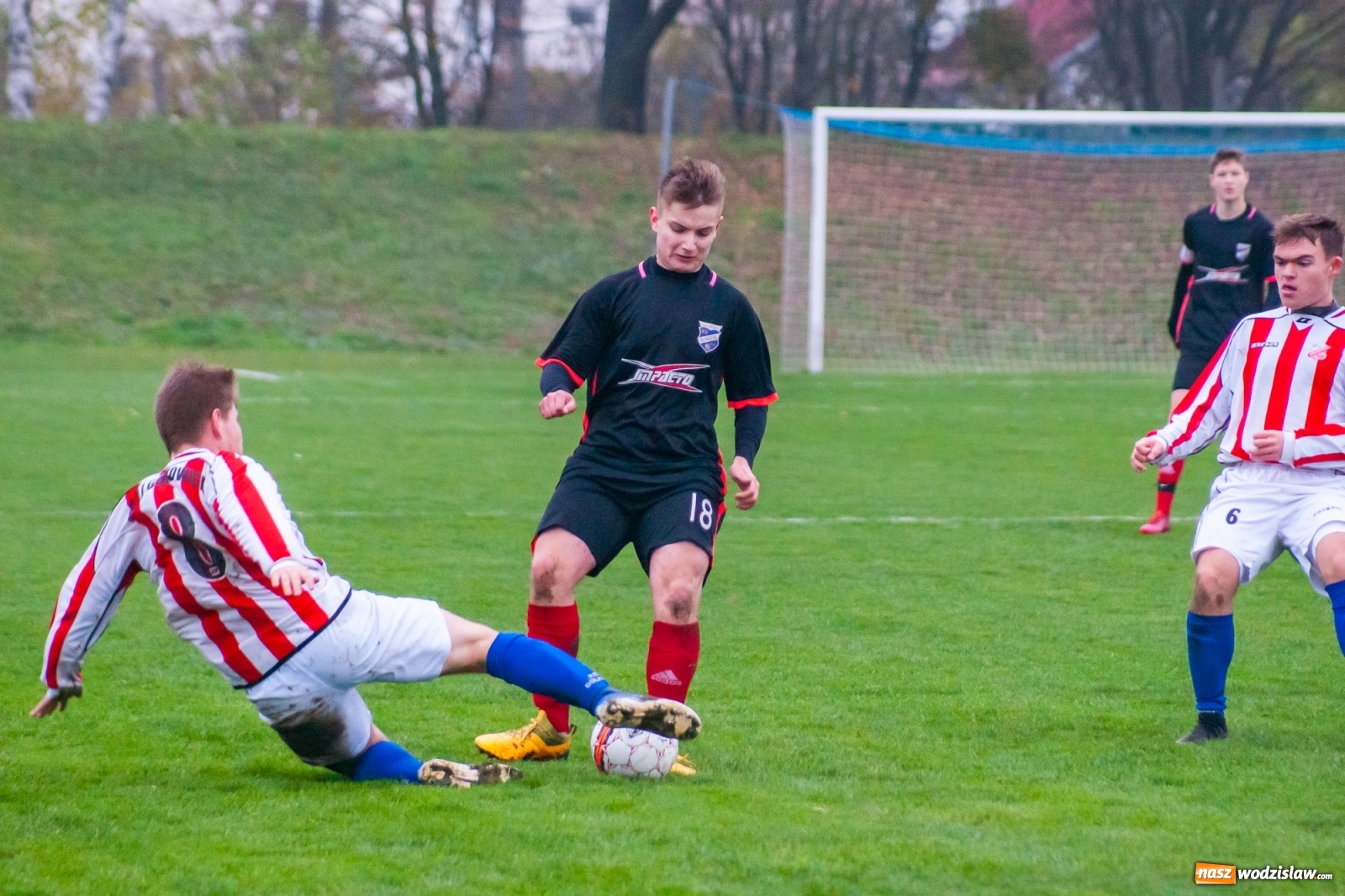Zdjęcie w galerii na portalu naszwodzislaw.com: Juniorzy starsi. Nieudana pogoń Gołkowic [FOTO i WIDEO] wiadomości z regionu