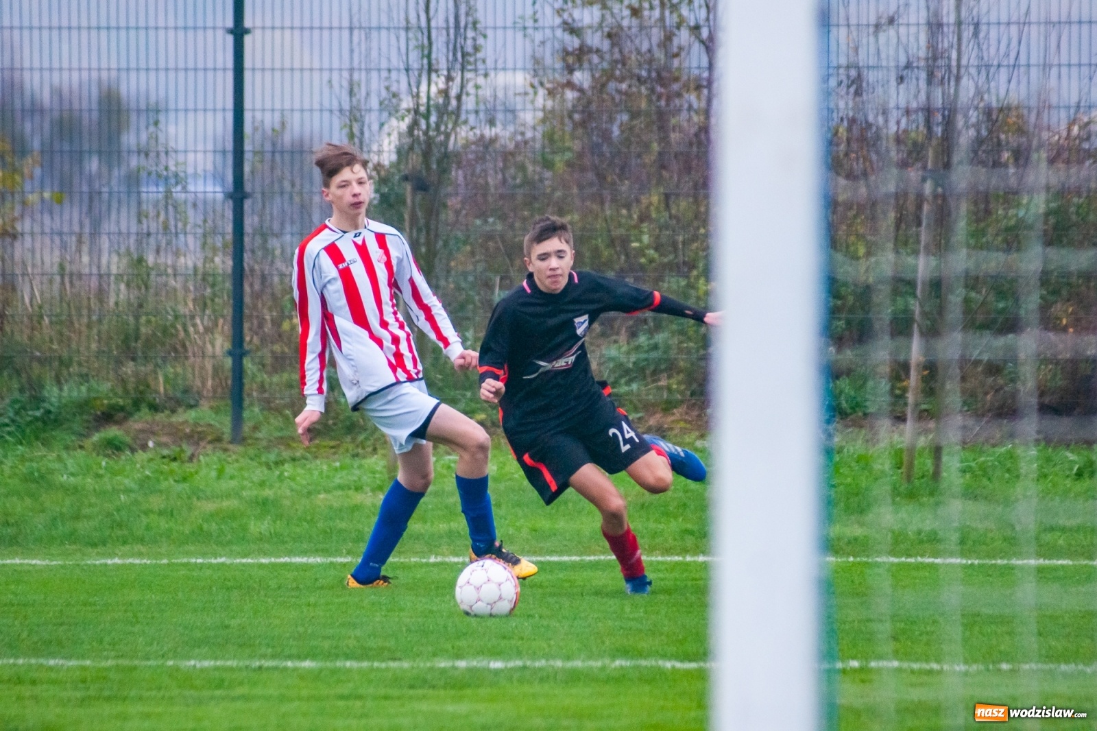 Zdjęcie w galerii na portalu naszwodzislaw.com: Juniorzy starsi. Nieudana pogoń Gołkowic [FOTO i WIDEO] wiadomości z regionu