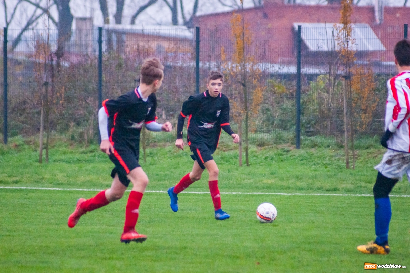 Zdjęcie w galerii na portalu naszwodzislaw.com: Juniorzy starsi. Nieudana pogoń Gołkowic [FOTO i WIDEO] wiadomości z regionu
