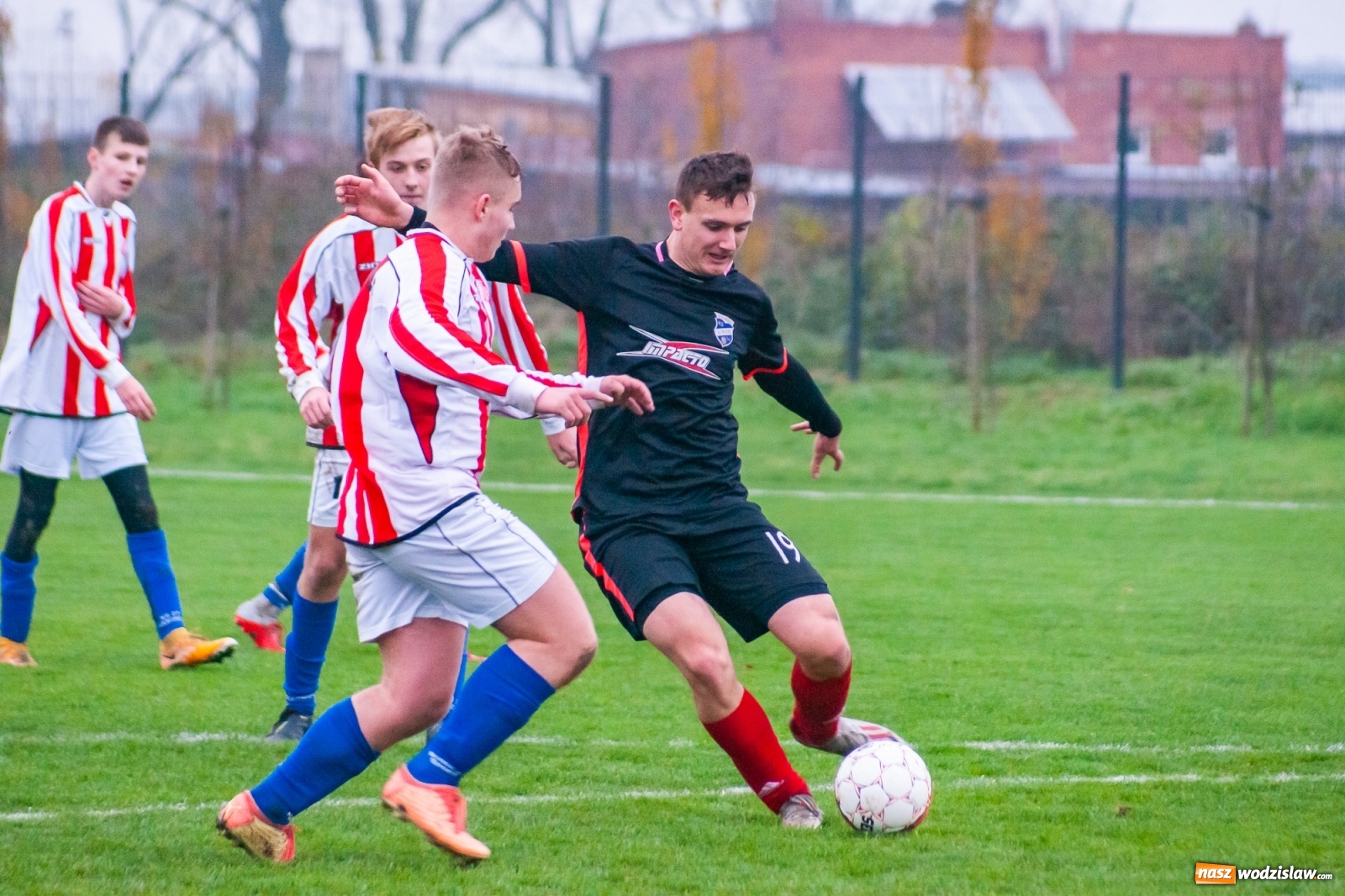 Zdjęcie w galerii na portalu naszwodzislaw.com: Juniorzy starsi. Nieudana pogoń Gołkowic [FOTO i WIDEO] wiadomości z regionu