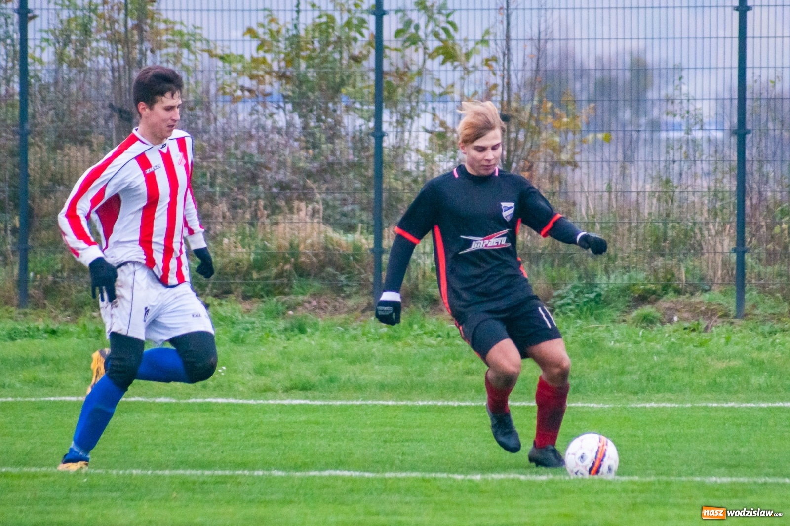 Zdjęcie w galerii na portalu naszwodzislaw.com: Juniorzy starsi. Nieudana pogoń Gołkowic [FOTO i WIDEO] wiadomości z regionu