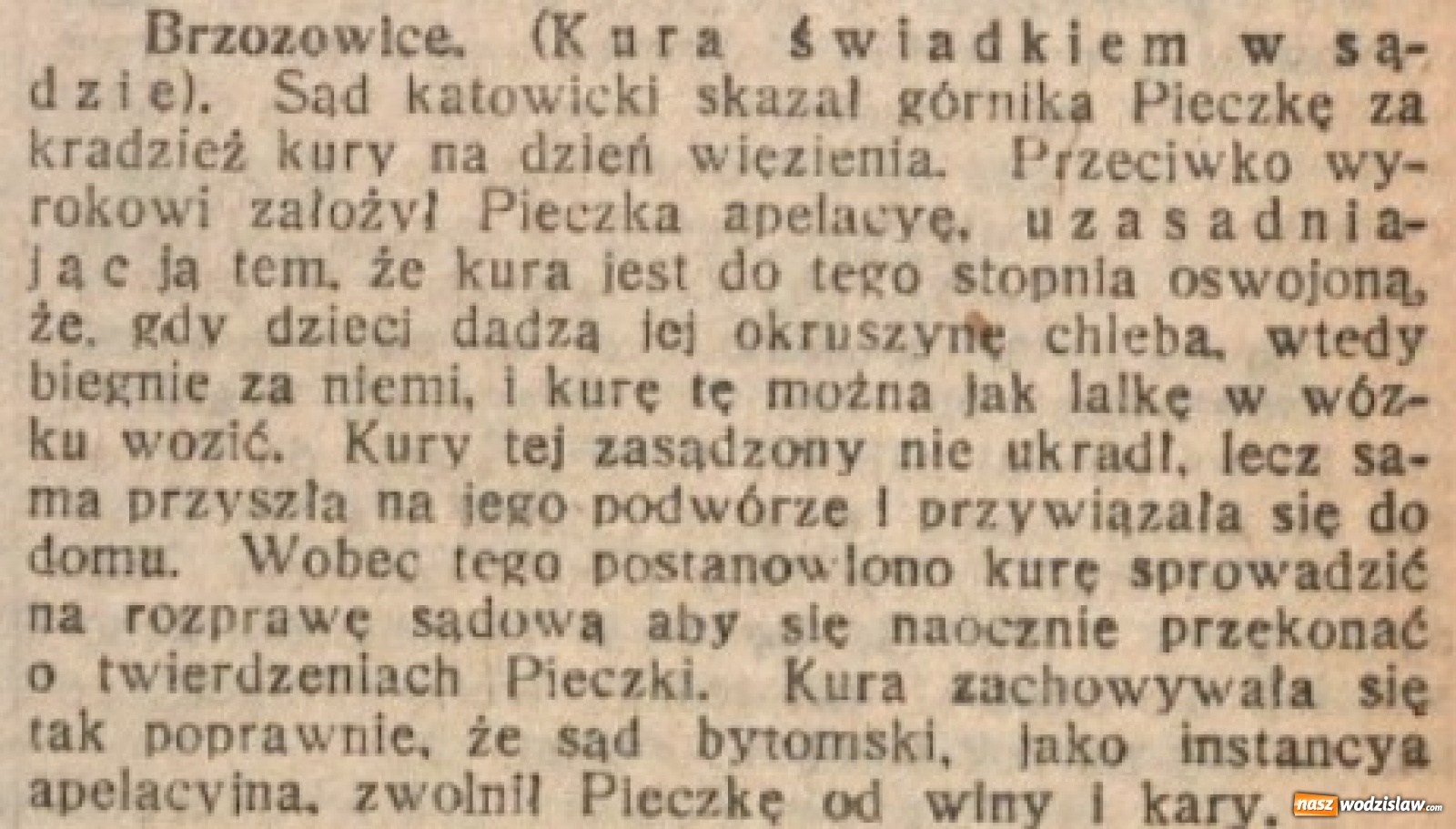 Zdjęcie w galerii na portalu naszwodzislaw.com: Powstało archiwum śląskich wycinków prasowych on-line wiadomości z regionu