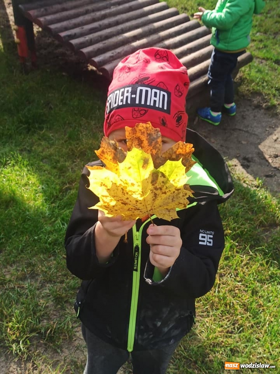 Zdjęcie w galerii na portalu naszwodzislaw.com: Jesienne zabawy w Przedszkolu numer 1 wiadomości z regionu