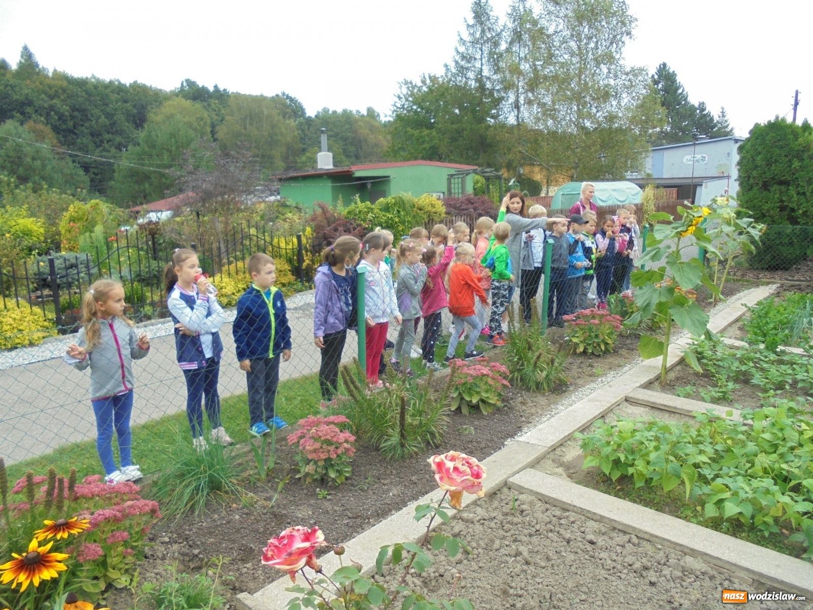 Zdjęcie w galerii na portalu naszwodzislaw.com: Gajówka to coś więcej niż ogród wiadomości z regionu