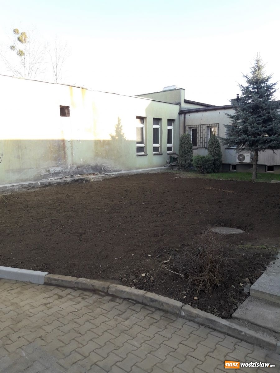 Zdjęcie w galerii na portalu naszwodzislaw.com: Kolejna ekologiczna inwestycja w Wodzisławiu Śląskim za nami wiadomości z regionu