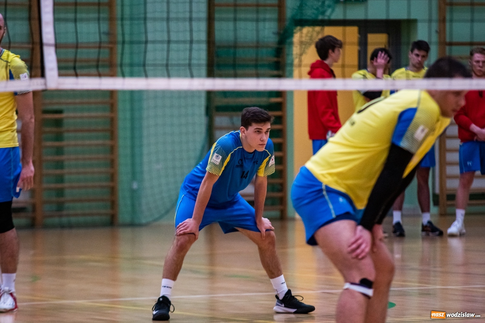 Zdjęcie w galerii na portalu naszwodzislaw.com: Siatkówka. Górnik Radlin wrócił z Raciborza z tarczą [FOTO] wiadomości z regionu